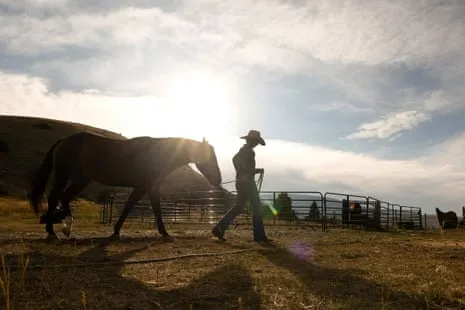 Meet the American Cowgirls Reshaping Contemporary Ranching