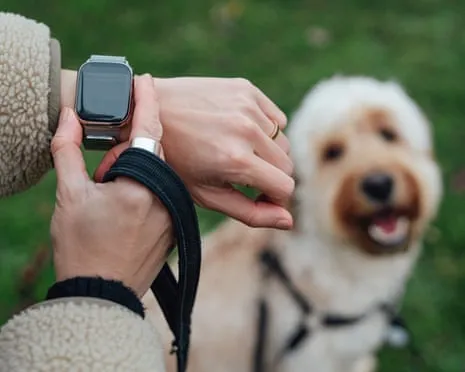 The Reality Regarding Smartwatches? Daily Existence Feels Fuller Lacking a Bossy Gadget on Your Wristwear